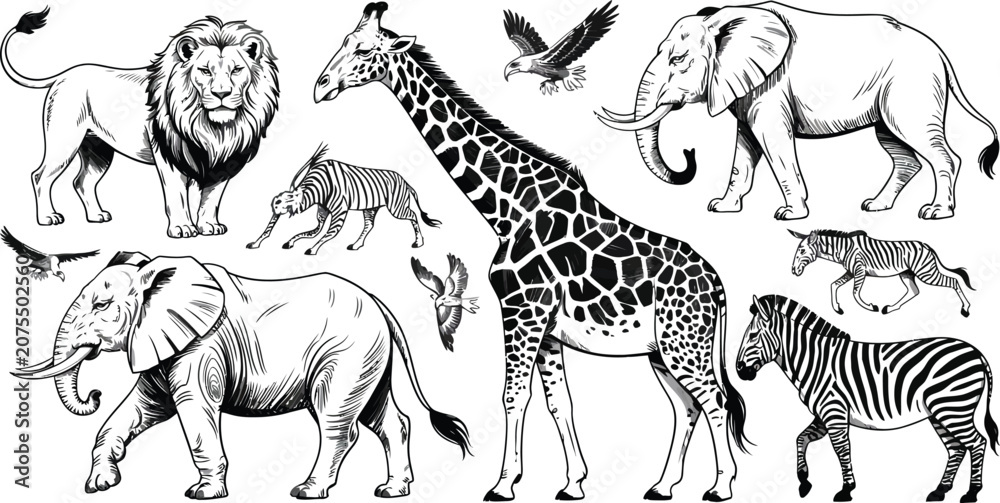 Obraz premium Wildlife icons, safari animals, black and white illustrations, vector set of 7