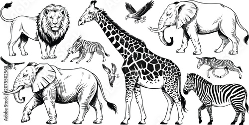 Canvas Print Wildlife icons, safari animals, black and white illustrations, vector set of 7