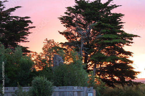 Foto Lever de soleil au milieu des arbres
