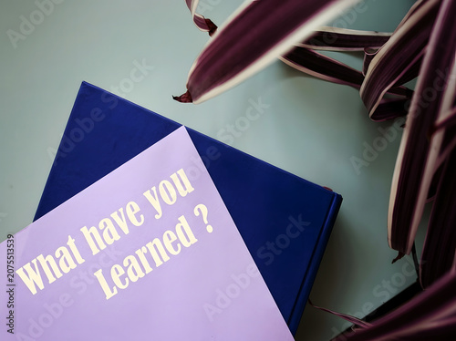 What Have You Learned Educational Question Card On Light Teal Background For Learning Reflection Knowledge Growth And Personal Development Concept