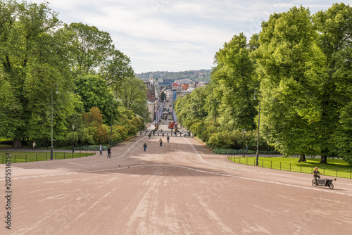 Canvas Print Royal Palace green  park  in Oslo