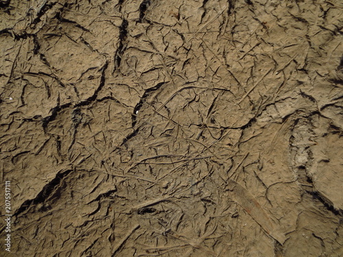 Texture of dry cracked mud ground with dead grass imprints. Natural drought background for environmental ecology concepts, climate change topics, and industrial design prints.