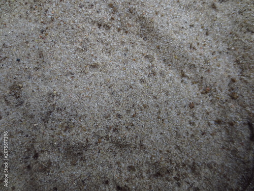 Top view texture of natural fine sand grains. Neutral abstract background for construction industry concepts, summer beach travel, wellness spa cosmetics and design prints.