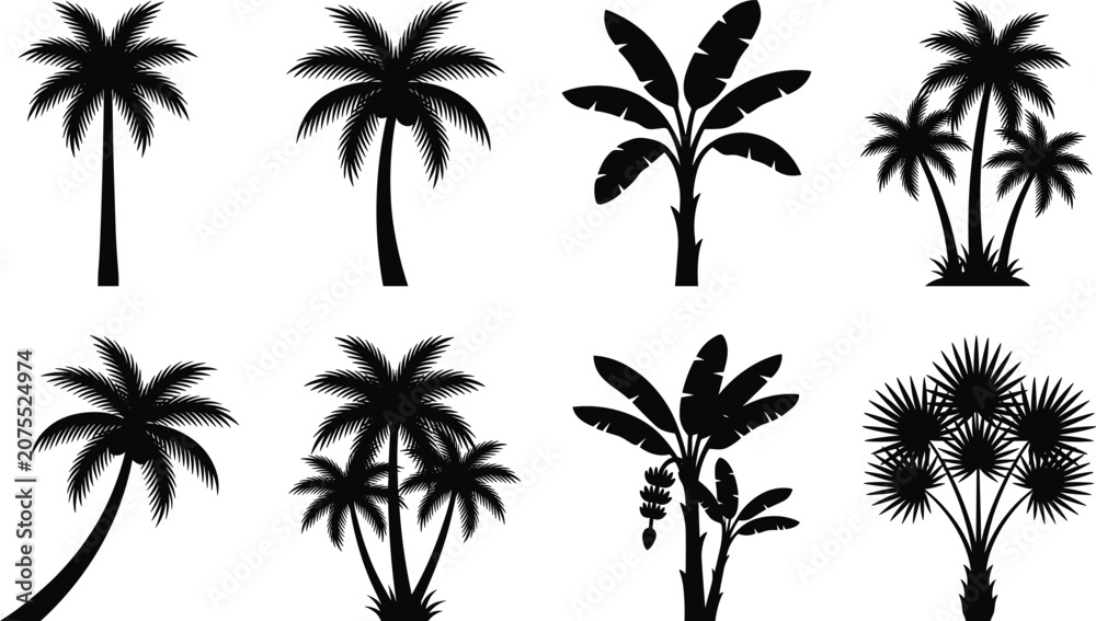 Obraz premium Tropical Tree Silhouette Vector Collection Featuring Palm and Banana Trees with Distinct Leaf Patterns