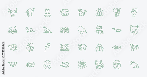 Photography outline animals icons set - bull, camel, kiwi bird, tuna