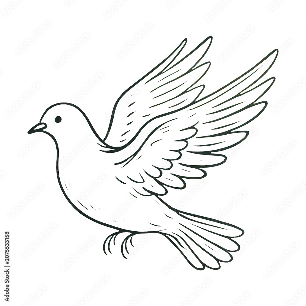 Fototapeta premium PNG Minimalist dove line art illustration.