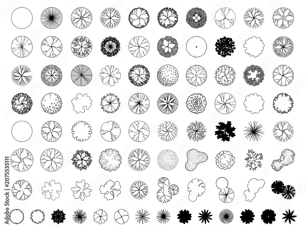 Fototapeta premium Comprehensive Collection of CAD Tree Symbols for Architectural Site Planning and Landscape Design Projects