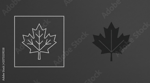 Minimalist maple leaf outline and solid silhouette icons on grey.