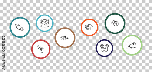 Photography outline animals icons set - big owl, angler, platypus, blindworm