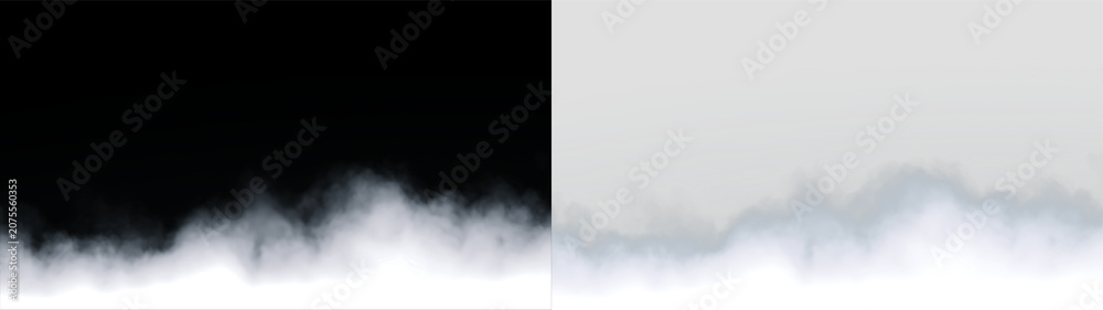Fototapeta premium Soft fog covers ground in early morning light in a natural setting on a transparent background