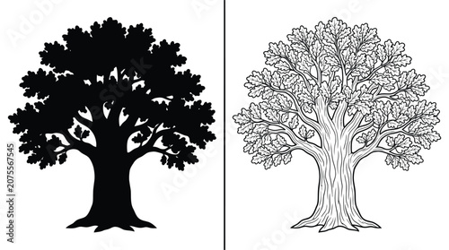 Canvastavla Trees Set with Black Silhouette and Outline Drawing of an Old Mighty Oak with De
