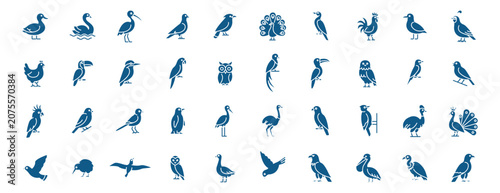 Bild auf Leinwand Wild Bird Icon Set – Owl, Parrot, Peacock and Water Birds, EPS 10