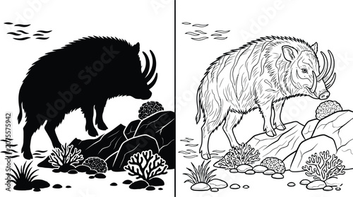 Tableau sur toile Wild Boars with Two Black and White Line Art Styles Standing on Rocks with Plants