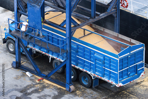 Photos A truck being loaded with bulk grain at a dockside