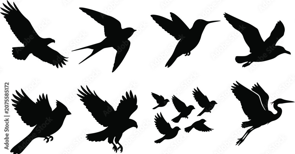 Obraz premium Flying Bird Silhouette Vector Icon Set Featuring Eagle Heron Hummingbird And Flock Isolated On White Background