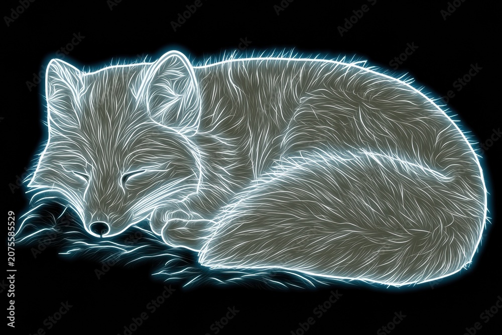 Fototapeta premium An arctic fox rests in snow with a white coat, outlined in blue neon on a dark background, creating a warm and cozy glow.