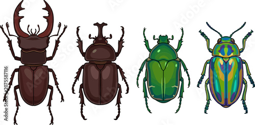 Bild auf Leinwand Beetle and Insect Species Vector Icon Set with Stag Beetle Rhinoceros Beetle Gre