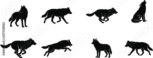 Canvastavla Collection of wolf silhouettes in various poses and movements