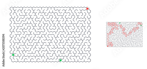 Maze puzzle design with intricate pathways and highlighted points  
