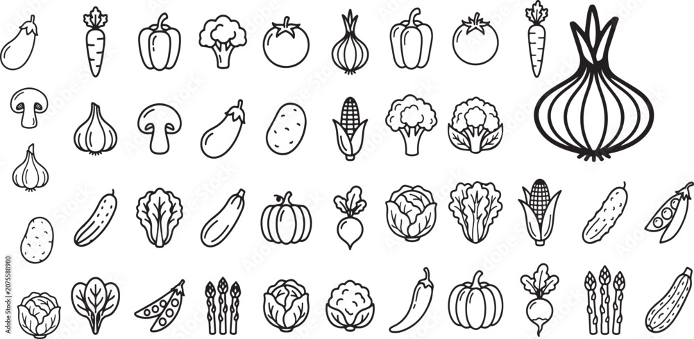 Fototapeta premium Collection of fresh vegetables and healthy food icons for culinary and nutrition design with vegetables nutrition agriculture broccoli mushroom eggplant cucumber zucchini asparagus ingredient