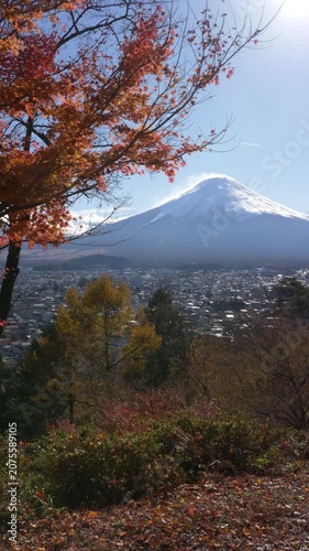 山梨県富士吉田市の高台より望む秋の富士山と紅葉のタイムラプス映像（縦・フィックス）