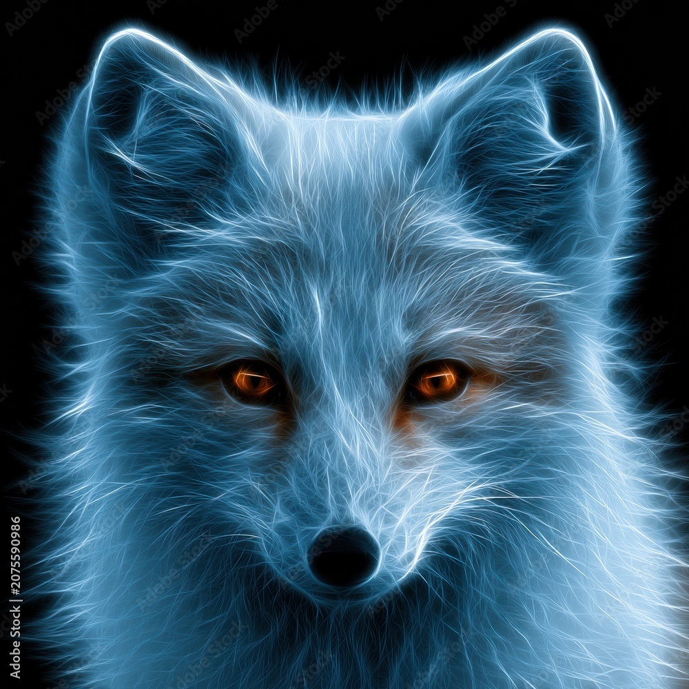 Fototapeta premium A front view of an arctic fox face with large fluffy ears and bright eyes, set against a dark background.