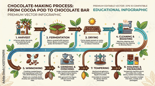 Foto Chocolate making process educational infographic