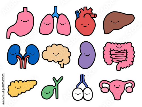 Foto Cute human organ characters with faces illustration set