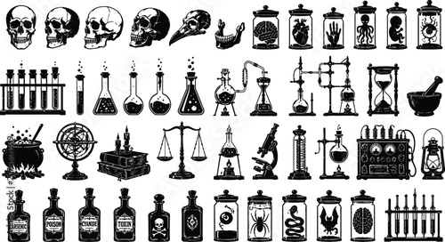 Foto Vintage style Vector Illustration Of Anatomical Specimens And Alchemical Equipme