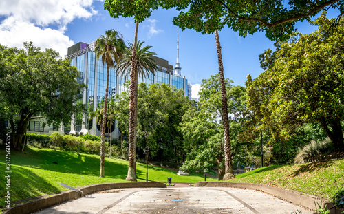 Myers Park pathway with palm trees and Sky Tower view, Auckland, New Zealand, 1 January 2024