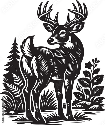 Majestic Whitetail Deer Buck In Forest