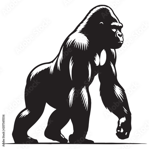 Foto gorilla, silverback gorilla, mountain gorilla, western gorilla, eastern gorilla, baby gorilla, gorilla family, giant ape, primate, wildlife, wild animal, jungle, rainforest, African wildlife