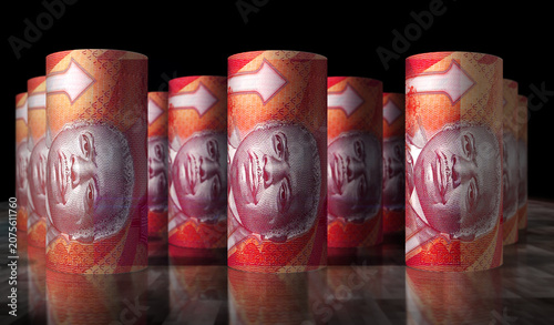 Barbados 50 dollar money banknotes rolls 3d illustration