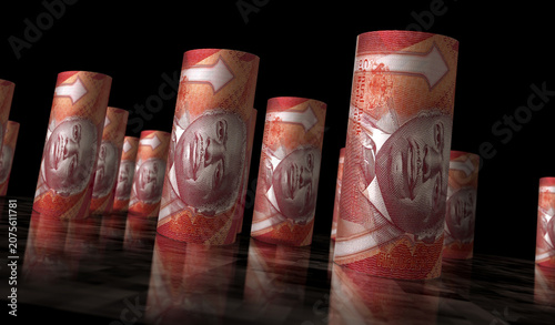 Barbados 50 dollar money banknotes rolls 3d illustration