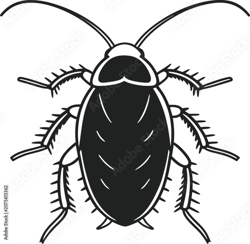 black and white beetle