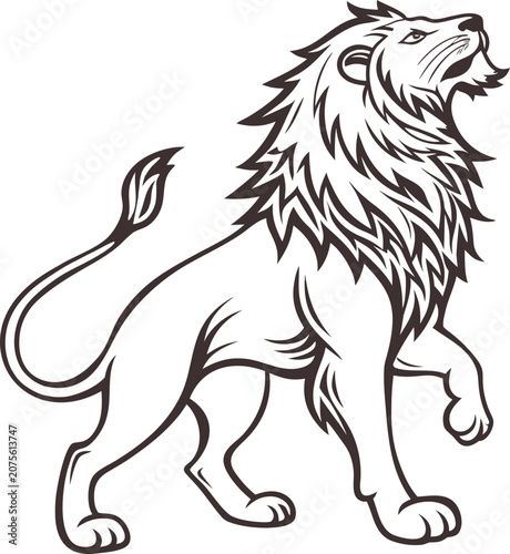 vector illustration of a lion