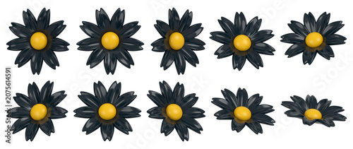 Fényképezés Set of Glossy Black Daisy Flowers in Multiple Angles