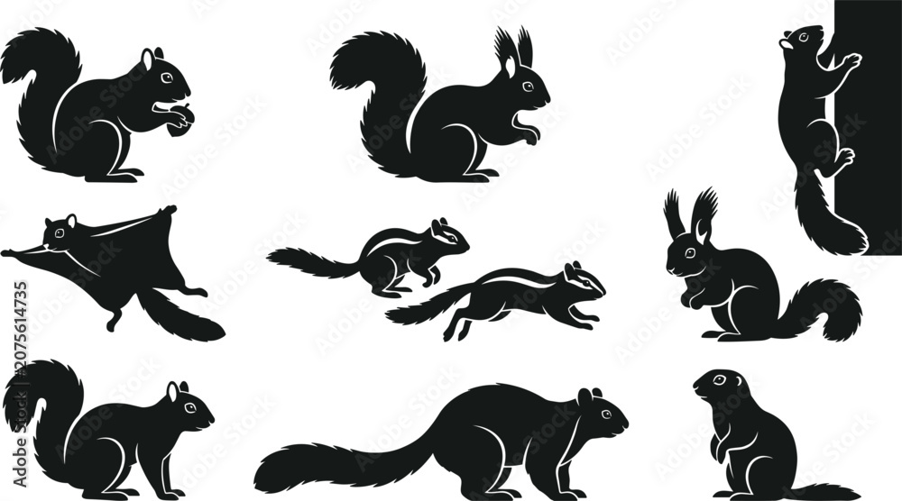 Fototapeta premium Squirrel and Chipmunk Silhouette Vector Set Featuring Flying Squirrel Tree Climber Ground Gopher and Rodent Wildlife Graphic Shapes
