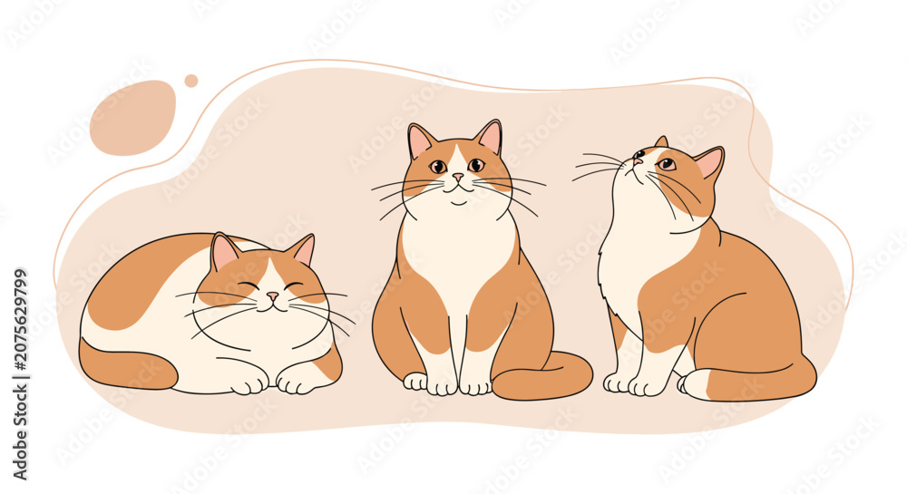 Fototapeta premium Adorable illustration of three ginger and white cats in various sitting and lying positions on a soft pastel background.