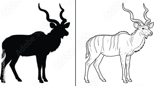 Photography Kudu Deer Vector Illustration Set with Two Different Styles, Isolated on a Clean White Background, Perfect for Design Elements