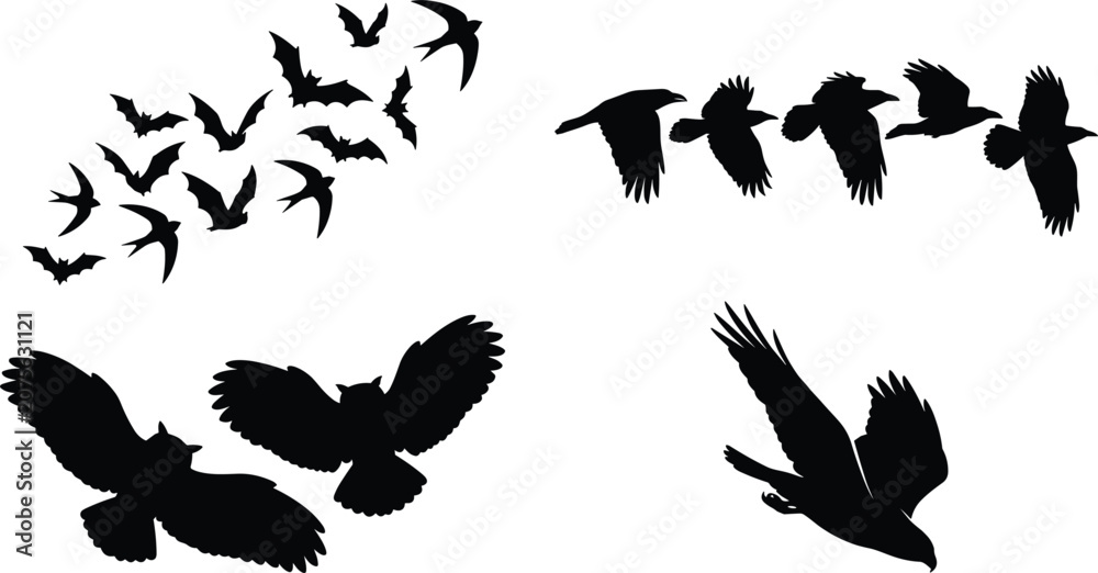 Fototapeta premium Flying birds and bats silhouette vector collection featuring hawk raven crow owl and flock of wild creatures