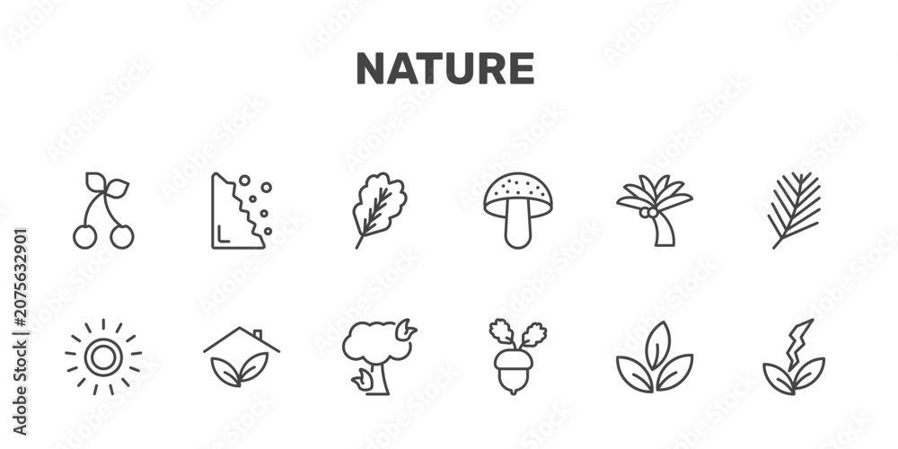 Fototapeta premium nature icon set with cherry leaf, falling debris, oak leaf, natural energy signs in flat outline style