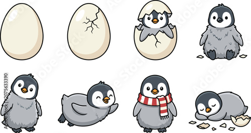 Foto Penguin Chick Growth Stages from Egg to Young Bird with Cute Cartoon Illustratio