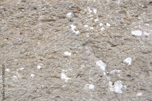 Background and texture of an ancient shell limestone wall