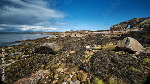 Moray Firth Seascape
