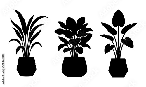 Indoor Potted Houseplant Silhouette Set Isolated on White Background