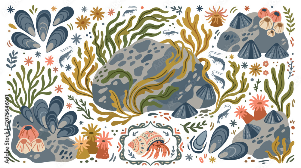 Obraz premium ocean and sea life concept icons with rocks, seaweed and shellfish for infographic design in colorful style