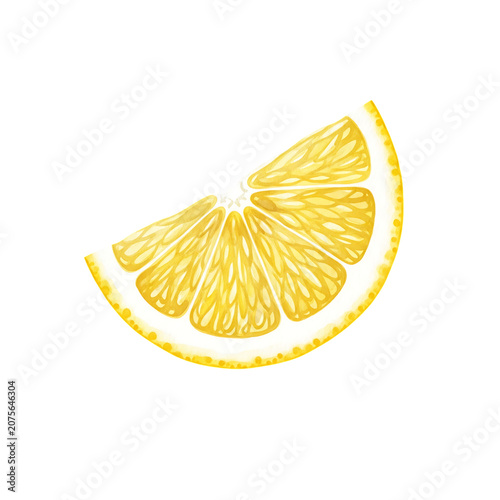 Watercolor Lemon Slice PNG Transparent