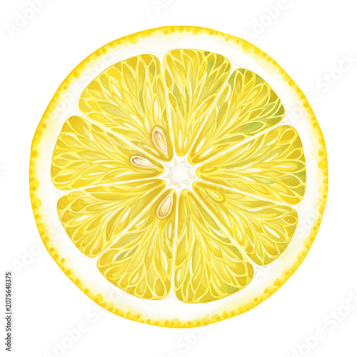 Watercolor Lemon Slice PNG Transparent
