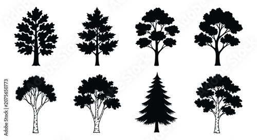 Cuadro en lienzo Tree silhouettes collection black shapes on a white background